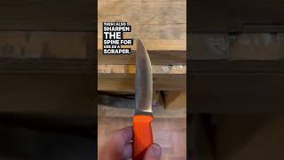 Camp knife complete regrind and makeover beforeandafter kniferestoration sharpener sharpening [upl. by Lorri]