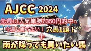 アメリカジョッキークラブカップ AJCC 2024 注目馬3頭＋穴馬1頭 雨が降っても買いたい馬 [upl. by Hnahym]