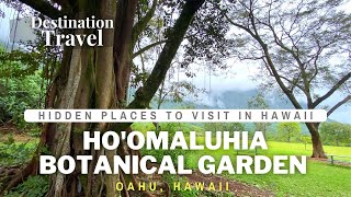 Hoomaluhia Botanical Gardens  Things to do on Oahu  Hawaii Luxury Travel [upl. by Vanni402]