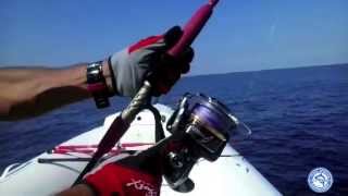 Shimano Stella 30000 sw amp Xzoga Taka si 600 5518 Tuna Tonno drifting  Majav [upl. by Lajet]