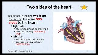 Basic AnatomyPhysiology of the Heart Part1 of 2 [upl. by Kleinstein]