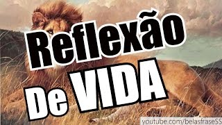 Belas Frases DE REFLEXÃO DE VIDA [upl. by Beekman]