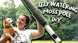 How To Make A Self Watering Moss Pole  DIY Moss Pole Tutorial [upl. by Ciaphus]