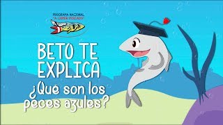 ¿Qué son los pescados azules [upl. by Annet]