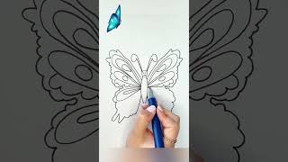 How to Draw a Beautiful Butterfly [upl. by Korie664]