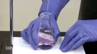 Setting up and Performing a Titration [upl. by Gresham]