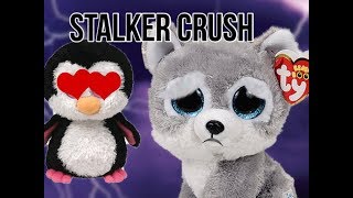 Stalker Crush Beanie Boo Video [upl. by Song986]