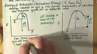 Endothermic and Exothermic Reactions [upl. by Means]