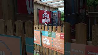 A selfservice dog wash Now Ive seen everything [upl. by Ademordna]