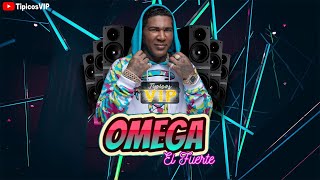 🔊 Omega El Fuerte  Desafinao ❌Version Para Musicologo En Vivo❌ [upl. by Eleynad]