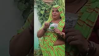 gardening spinach spinachleaves agriculture farming palak indianfarmer [upl. by Nikolia420]