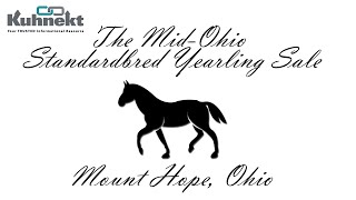 Mid Ohio Standardbred Yearling Sale [upl. by Theta]