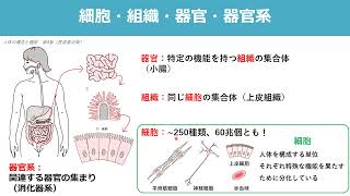 【オープンキャンパス2021 模擬講義】病理検査学分野 髙木 清司先生 [upl. by Vicki]