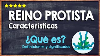 🙏 ¿Qué es el Reino Protista  Organización Biológica y sus Características 🙏 [upl. by Hakceber]