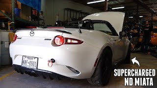 Visiting TRACK DOG RACING and Driving Fast Supercharged Miatas [upl. by Enrichetta]