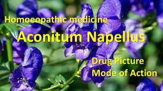 Aconitum Napellus for fears anxiety and restlessness  Homeopathy 👍 shortsviral [upl. by Norga]