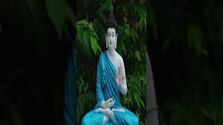 history of Gautam Budha gutambuddha history indianhistory trendingshorts trendingreels cr7 [upl. by Ahsema]