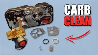 How to Clean a Plastic Briggs amp Stratton Carburetor [upl. by Arno]