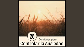 25 Canciones para Controlar la Ansiedad [upl. by Yalcrab99]