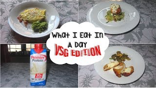 WHAT I EAT IN A DAY  VSG EDITION  PURÉE amp SOFT FOOD STAGE [upl. by Rebak]