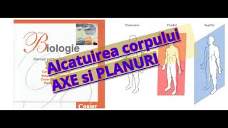 ADMITEREA la MEDICINA Corpul uman AXE si PLANURI dupa manualul de Corint [upl. by Karrie]