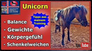 Pferdetraining Isländer Tipps aus Unterricht Schenkelweichen Balance Gewichte Tanja Schienagel [upl. by Siroled726]