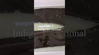 2nd Soak After 6 Months  Year 4 Indigo Invitational shorts [upl. by Ahsertal]