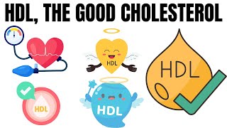 What is Good Cholesterol HDL High Density Lipoproteins cholesterol fat goodcholesterol HDL [upl. by Harland]