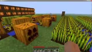 Como plantar semillas minecraft [upl. by Xylina]