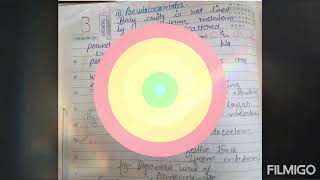 Acoelomate and coelomate topic no 1 zoology optional for IAS  hand written notes [upl. by Holtorf]