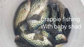 Mogadore reservoirs crappies fishing 2023 [upl. by Dyol]