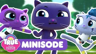 Ninja Kitty  NEW Minisode  True and the Rainbow Kingdom [upl. by Enogitna]