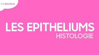 Les épithéliums  Histologie [upl. by Calia]