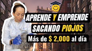 ¡Aprende y Emprende Sacando Piojos más de 2000 dólares al día 🤑 cursoparaemprendersacandopiojos [upl. by Ydnec]