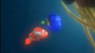 Buscando a Nemo  Dory no cenaste hoy [upl. by Dhar]