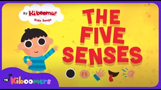 FIVE SENSES  The Kibooomers PRESCHOOL SONGS AND NURSERY RHYMES ABOUT BODY PARTS shorts kidssongs [upl. by Leind822]