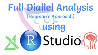 Full Diallel Analysis Haymans Approach using R Studio An easy UrduHindi Tutorial [upl. by Aicatsanna]