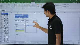 MS Excel  Pivot Table Slice [upl. by Airdnahc19]