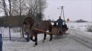 Kulig konny połączony z ogniskiem przy muzyce Krasew 2017 [upl. by Gish273]