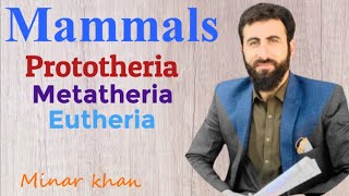 Mammals  classification of mammals  pushto lecture  bio for all  minar khan [upl. by Rhine]