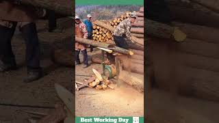 Best working day 1241 Log sawing process [upl. by Neelasor841]