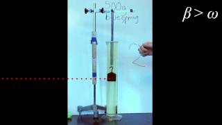 Damped Oscillatory Motion [upl. by Marla]