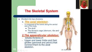 Lecture 2 Skeletal system 2024 DR AZZA ZAKI [upl. by Naillimixam]