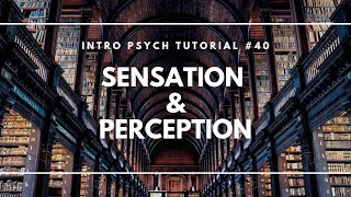 Introduction to Sensation and Perception Intro Psych Tutorial 40 [upl. by Kacy419]