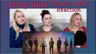 Stray Kids quotWinter Fallsquot Reaction [upl. by Chapell]