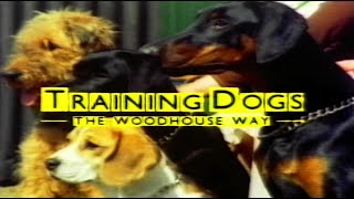 Training Dogs The Woodhouse Way  Barbara Woodhouse [upl. by Akimehs]