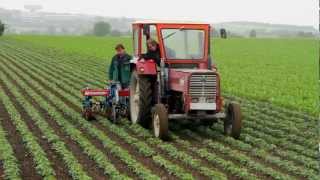 LandwirtIn  Eine Stellenausschreibung [upl. by Glory]