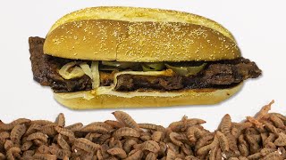 Maggots EATING MCRIB Time Lapse Video in 48 hours  Insects Eating Food Time Lapse [upl. by Magdala708]