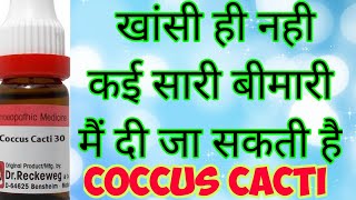 coccus cacticough killerhomeopathic use of coccus cacti [upl. by Monika55]