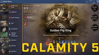 Black Desert Online Boss Blitz  GOLDEN PIG KING Calamity 5  Archer [upl. by Enirrok]